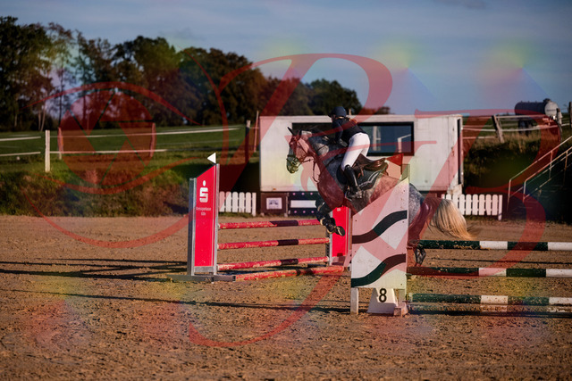 2026_10_03_Siefer-Hof_171349_Z81_10858224 | Professionelle Reitsport-, Turnier- und Eventfotografie von Robert Broda. Galerien mit ausgewählten und bearbeiteten Bildern direkt online ansehen und bestellen.