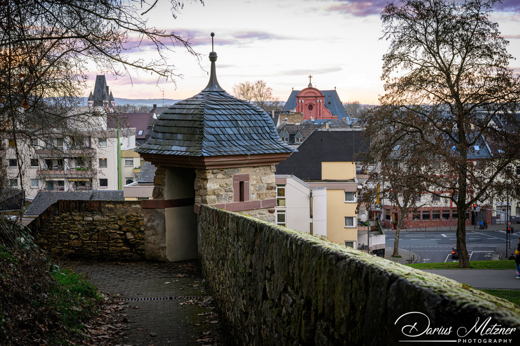 DSC_0147 | Fotografien, Fotos und Bilder aus Mainz, Frankfurt, Wiesbaden und anderen Orten auf der Welt - Fotografiert von Darius Metzner