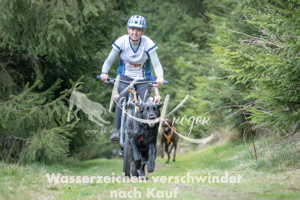 1312_ZZ93957 | kk-dogfotos