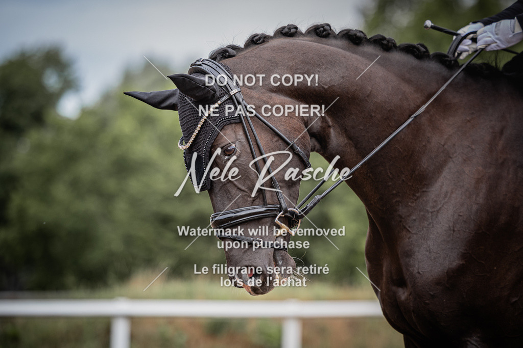 nelerasche_DrEEde_21 | nelerasche