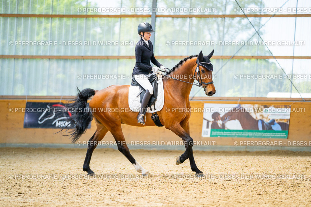 DSC09236 | Pferdegrafie