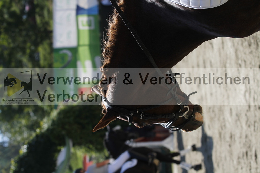 _MG_0374 | equestrian-live-com