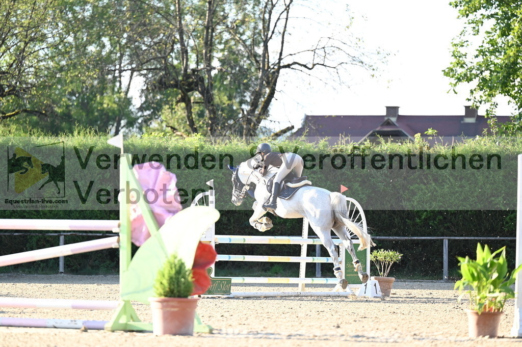 DSC_8950 | equestrian-live-com