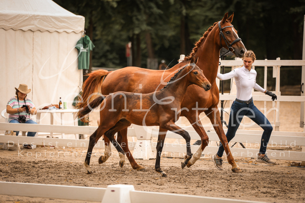 SaPA00315 | Leoni Ertmer Photography - Realisiert mit Pictrs.com