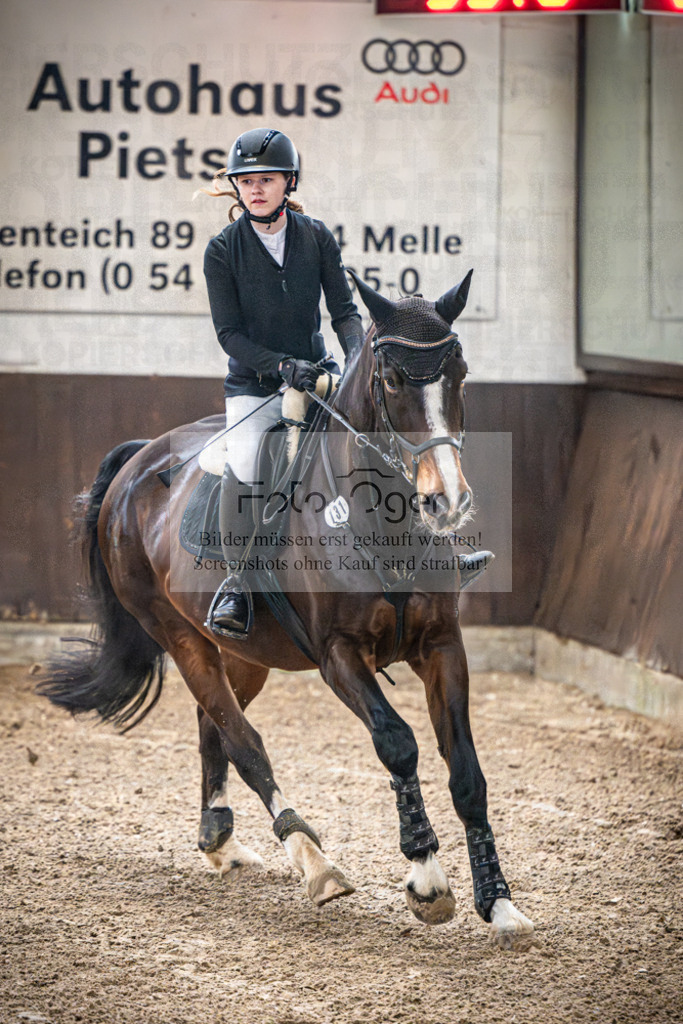 DOS_0010 | Entdecke hochwertige Reitturnierfotos von Foto Oger. Professionell, emotional und authentisch – jetzt Lieblingsmomente im Shop bestellen.Deutschlandweite Turnierfotografie. - Realisiert mit Pictrs.com