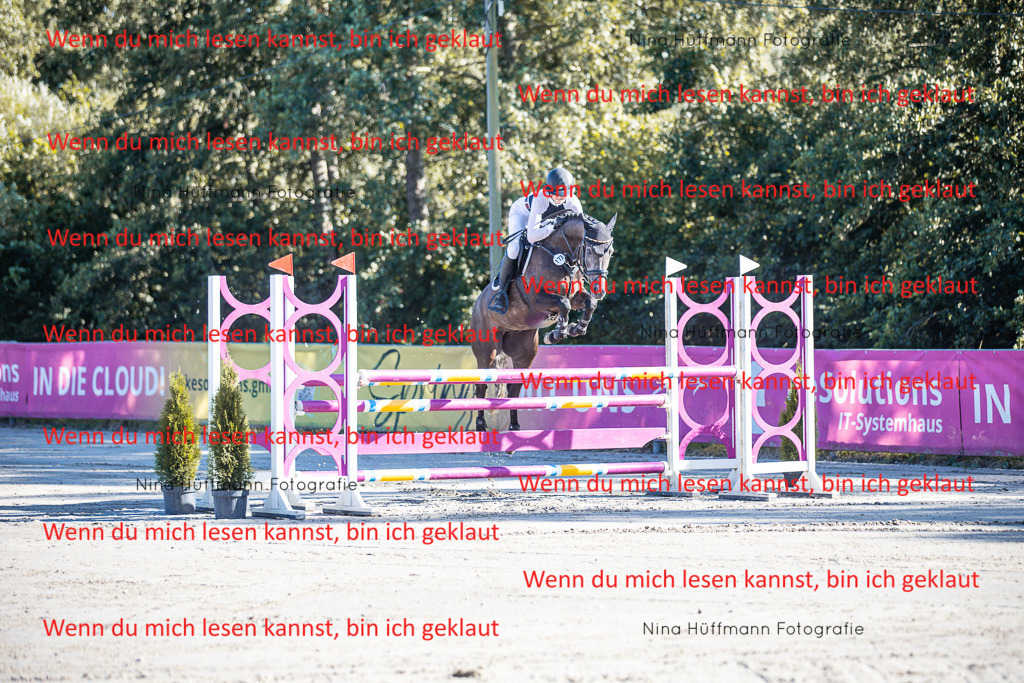 BK1A5951 | Turnierbilder Turnierfotos Nina Hüffmann Turnierfotografie Pferdefotografie Tierzeichnung Haustierzeichnung Pferdezeichnung Hundezeichnung Videograf  - Realisiert mit Pictrs.com