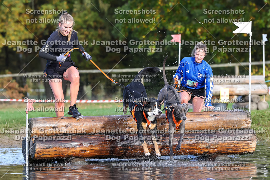 Dog Paparazzi - Strongdog 10-25-8325 | Dog Paparazzi Jeanette Grottendiek Fotografie & Videografie - Realisiert mit Pictrs.com