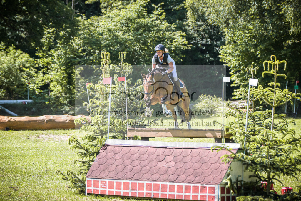 DOS_3560 | Entdecke hochwertige Reitturnierfotos von Foto Oger. Professionell, emotional und authentisch – jetzt Lieblingsmomente im Shop bestellen.Deutschlandweite Turnierfotografie. - Realisiert mit Pictrs.com