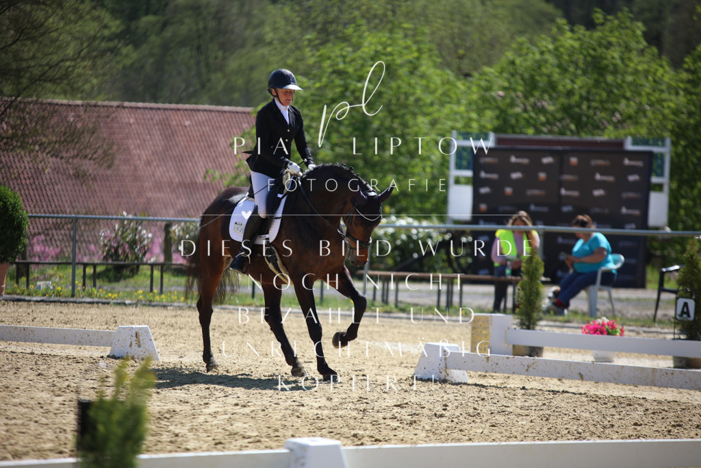 IMGT7480 | pl-fotografie