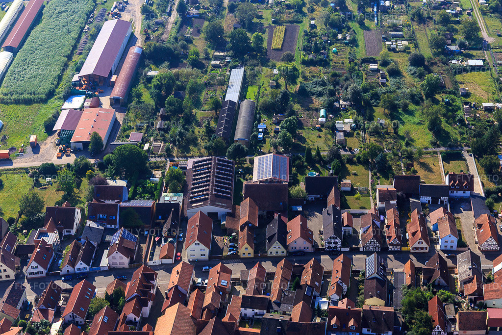Luftbild: Landwirtschaftliche Hallen am Hintergraben in Kandel im Bundesland Rheinland-Pfalz in Deutschland. Foto: IMG_094916.jpg vom 24.09.2016 durch Werner Riehm/FLY-FOTO.de