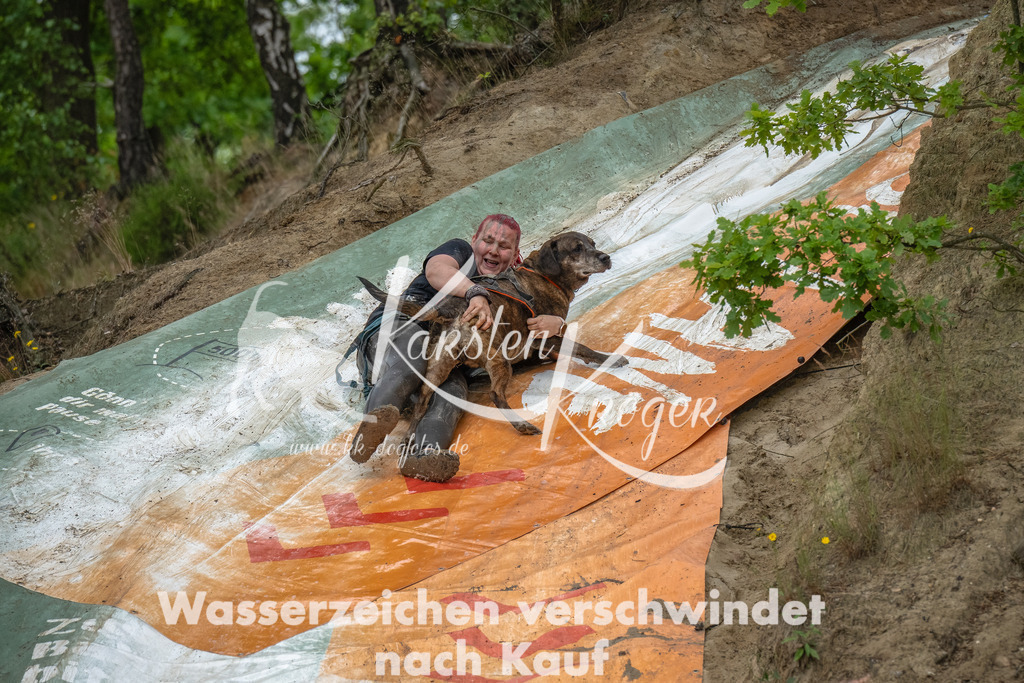 1444_ZZ91679-Bearbeitet-2 | kk-dogfotos