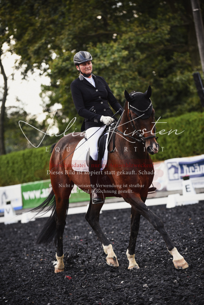 DSC_4022 | Pferde- und Turnierfotografie in Westsachsen. Pferdeportraits, Auftragszeichnungen und intuitive Kunst.