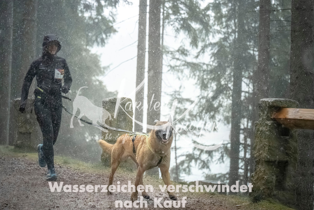 0840_ZZ92256 | kk-dogfotos