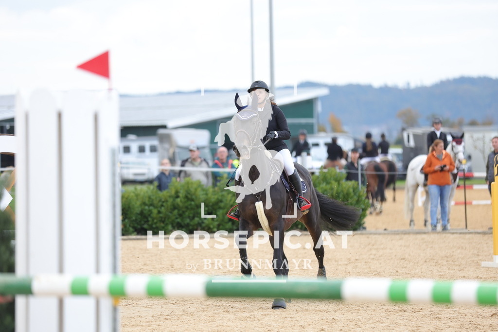 0P6A0145 | Willkommen bei Brunnmayr - Design & Fotografie – Ihrem Spezialisten für Reitturniere und Pferdeveranstaltungen in Oberösterreich, Salzburg und Bayern! Seit über 17 Jahren sind wir leidenschaftlich dabei.