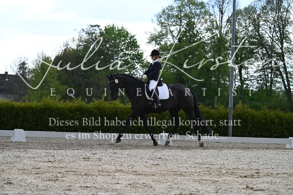20230512_JK-Röhrsdorf-03-054 | Pferde- und Turnierfotografie in Westsachsen. Pferdeportraits, Auftragszeichnungen und intuitive Kunst.