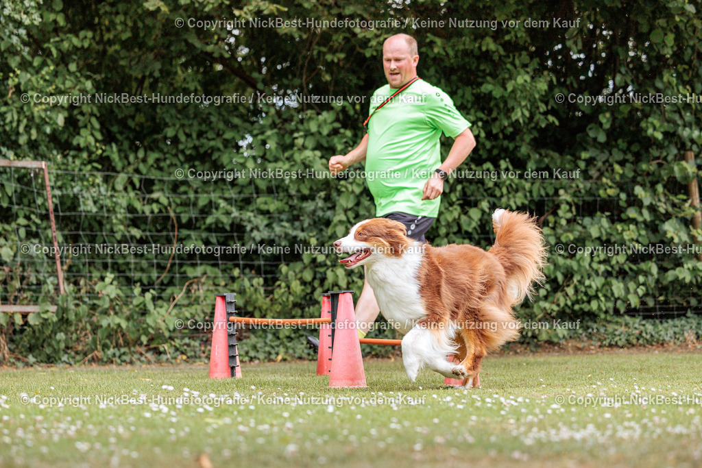 THS-Quakenbrück-2026-Nickbest-Hundefotografie-4249 | Dein Hund! Dein Moment! Deine Erinnerungen! Hundefotografie in Bremen Blumenthal. Ich fange die besonderen Momente deines Vierbeiners ein – ob Indoor mit Blitzanlage oder in der freien Natur. Sicher dir dein Moment und dein Termin für eure Erinnerungen.