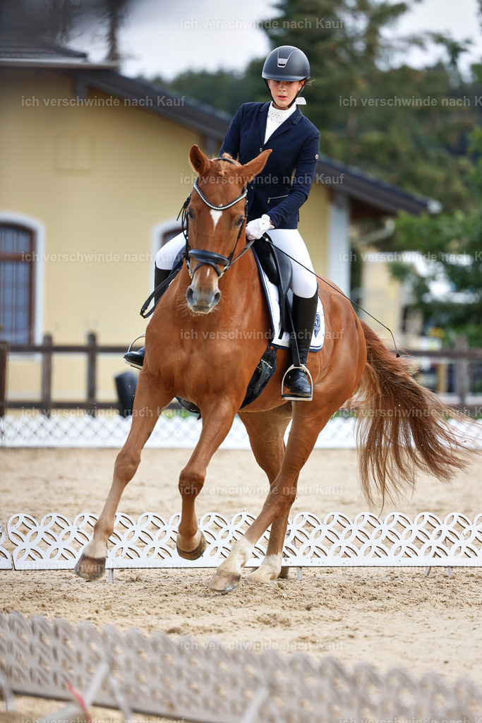02-095-DRESSUR L_  -StoibPH-4720 | working equitationturnier fotograf videograf stoibphotography marixx film working equitation deutschland reitsport turnierfotografie eventfotografie equestrian events