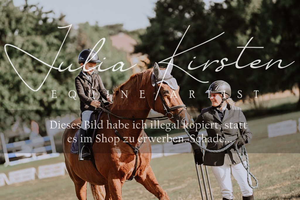 DSC_0093 | Pferde- und Turnierfotografie in Westsachsen. Pferdeportraits, Auftragszeichnungen und intuitive Kunst.