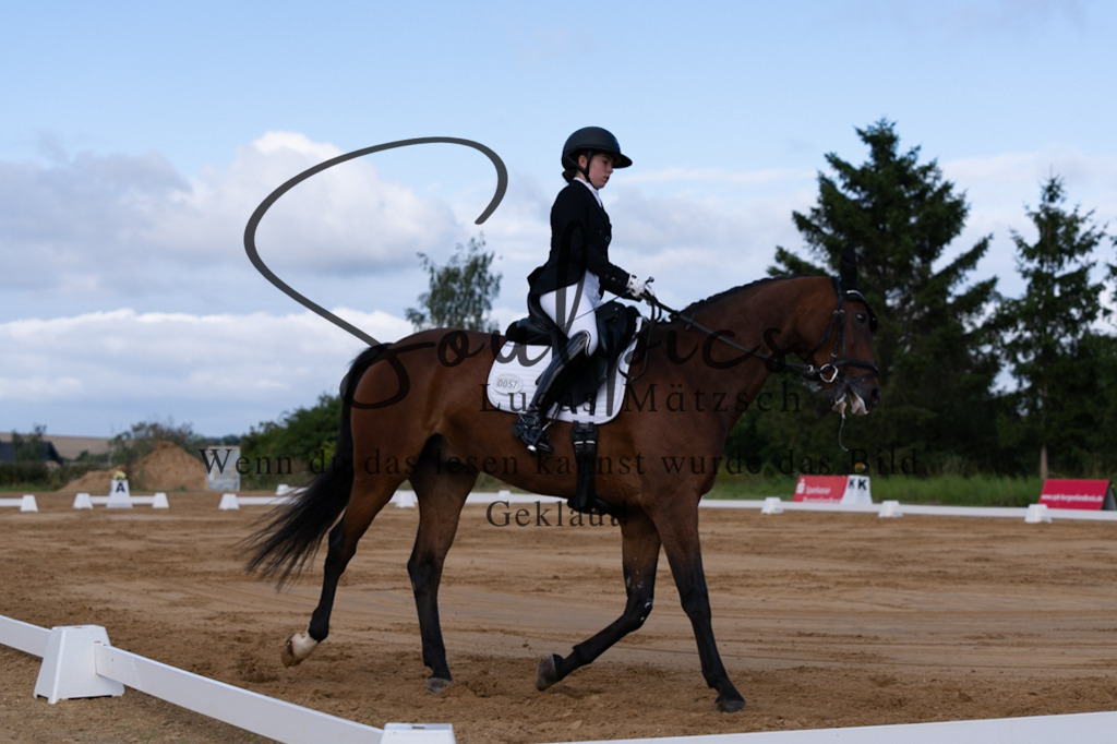 A7V05121 | Pferdefotograf