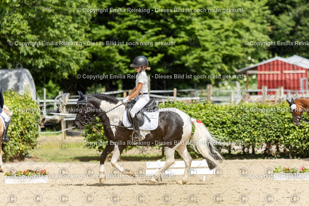 CL5A1143 | Emilia Reinking Fotografie - Realisiert mit Pictrs.com