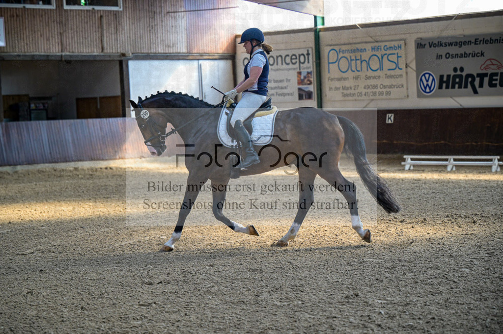 Reitturnier Voxtrup | Entdecke hochwertige Reitturnierfotos von Foto Oger. Professionell, emotional und authentisch – jetzt Lieblingsmomente im Shop bestellen.Deutschlandweite Turnierfotografie. - Realisiert mit Pictrs.com
