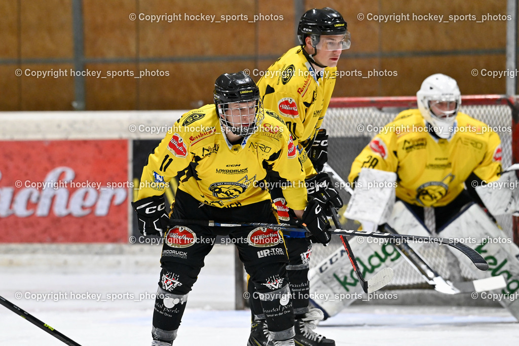 EC Spittal Hornets vs. EHC Althofen 6.1.2024 | #11 Kucher Florian, #81 Sivec Peter Paul, 
