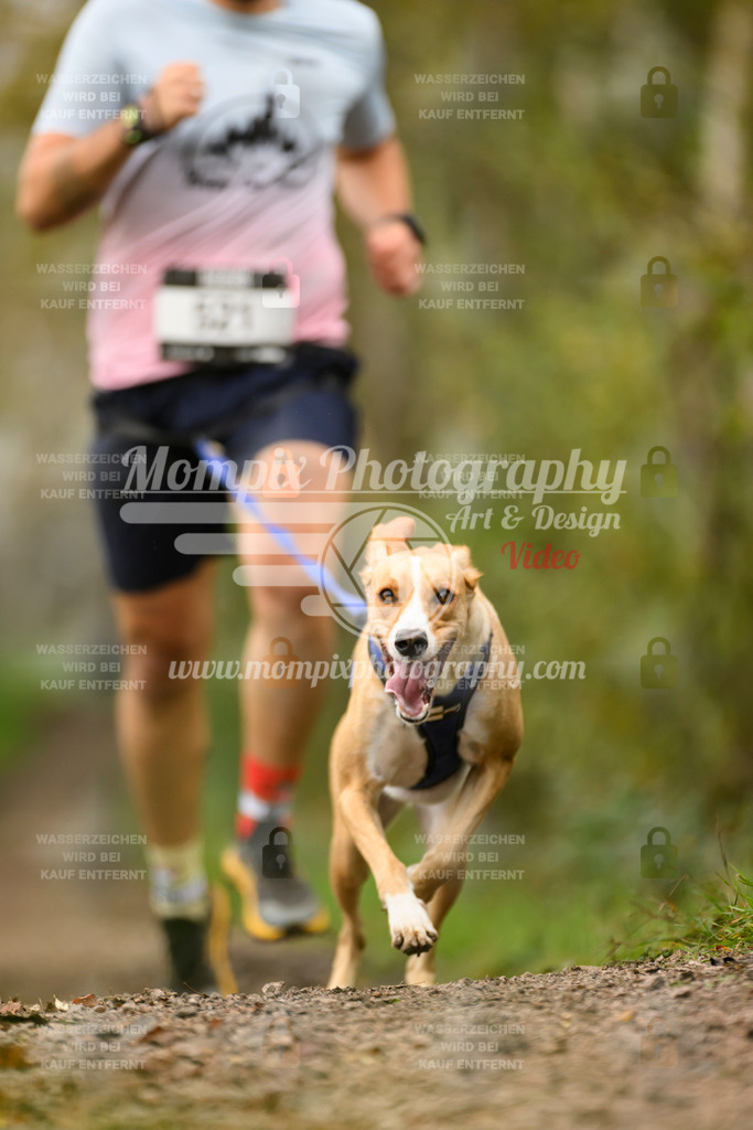 MompixPhotography_20TSB_E6_Run-147 | PayLife
