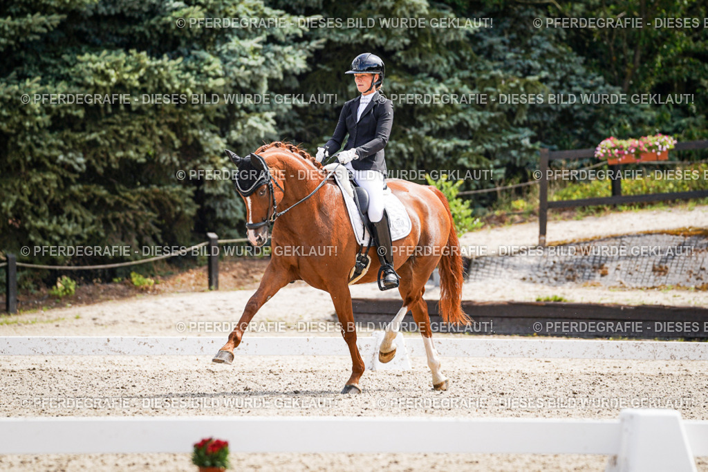 DSC09995 | Pferdegrafie