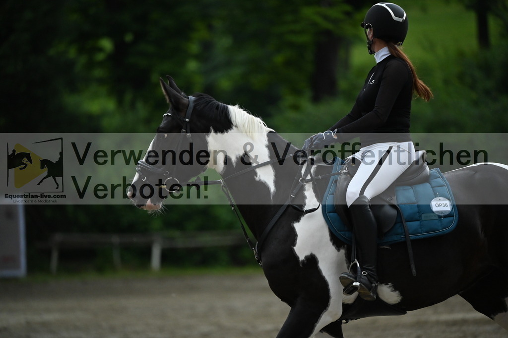 DSC_4774 | equestrian-live-com