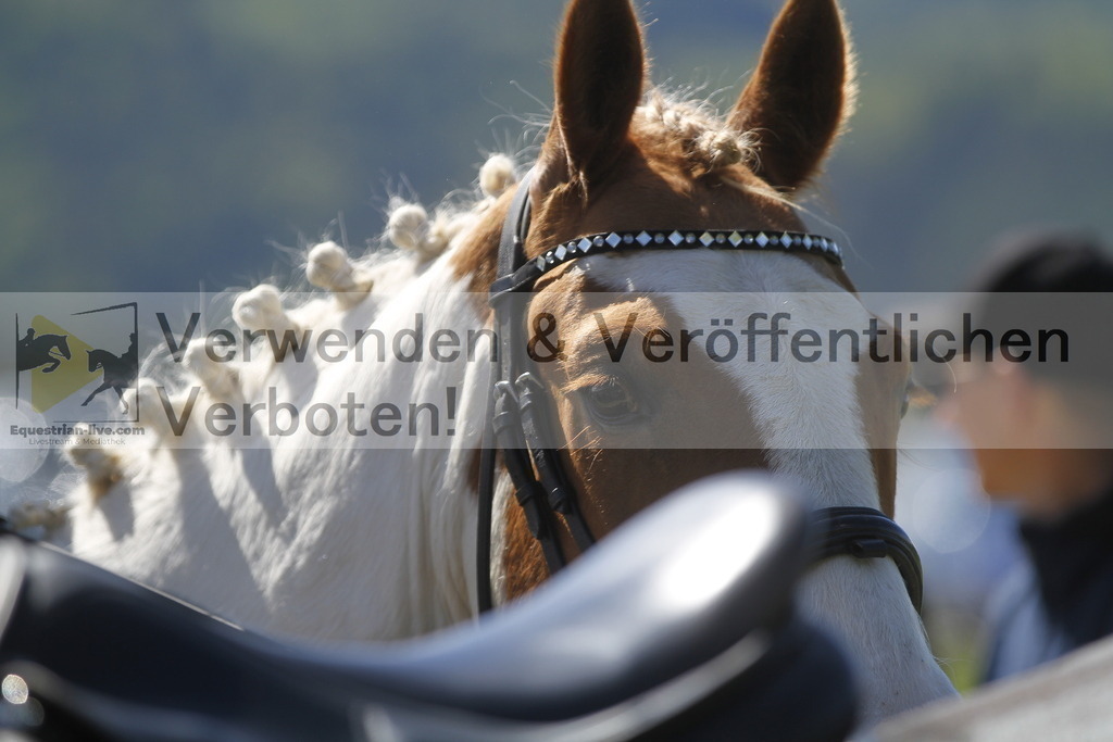 _MG_5646 | equestrian-live-com