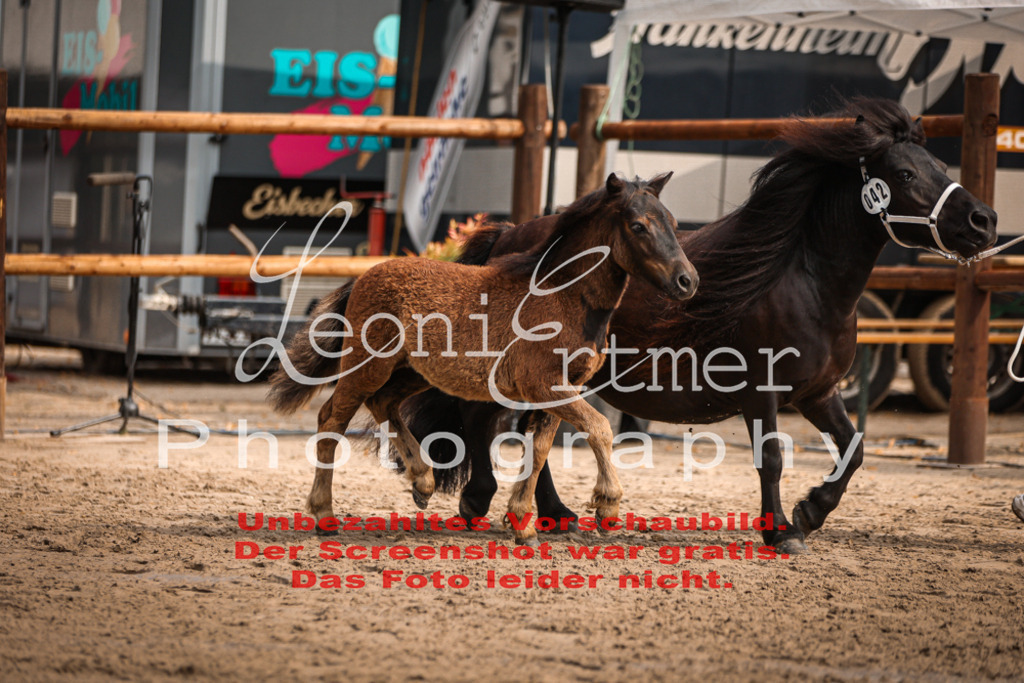 1.Fr00183 | Leoni Ertmer Photography - Realisiert mit Pictrs.com