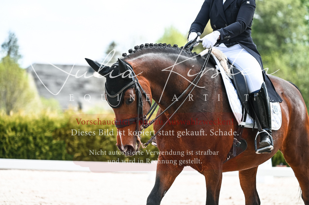 20230514_JK-Röhrsdorf-20-218 | Pferde- und Turnierfotografie in Westsachsen. Pferdeportraits, Auftragszeichnungen und intuitive Kunst.