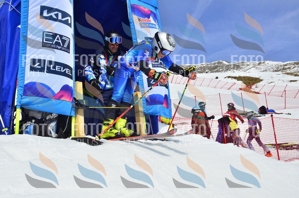 _ELE1995 | holidayphoto