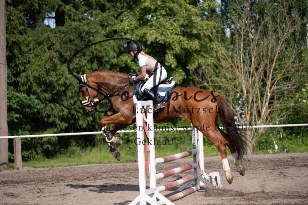 A7V03636 | Pferdefotograf