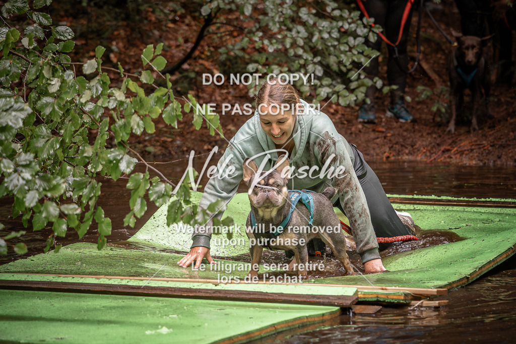 nelerasche_Wingst_Sa1330-1400_32 | nelerasche