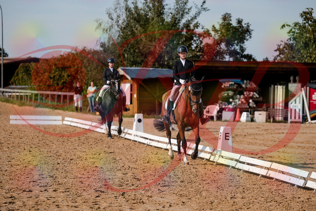2026_10_03_Siefer-Hof_131537_Z63_77379993 | Professionelle Reitsport-, Turnier- und Eventfotografie von Robert Broda. Galerien mit ausgewählten und bearbeiteten Bildern direkt online ansehen und bestellen.