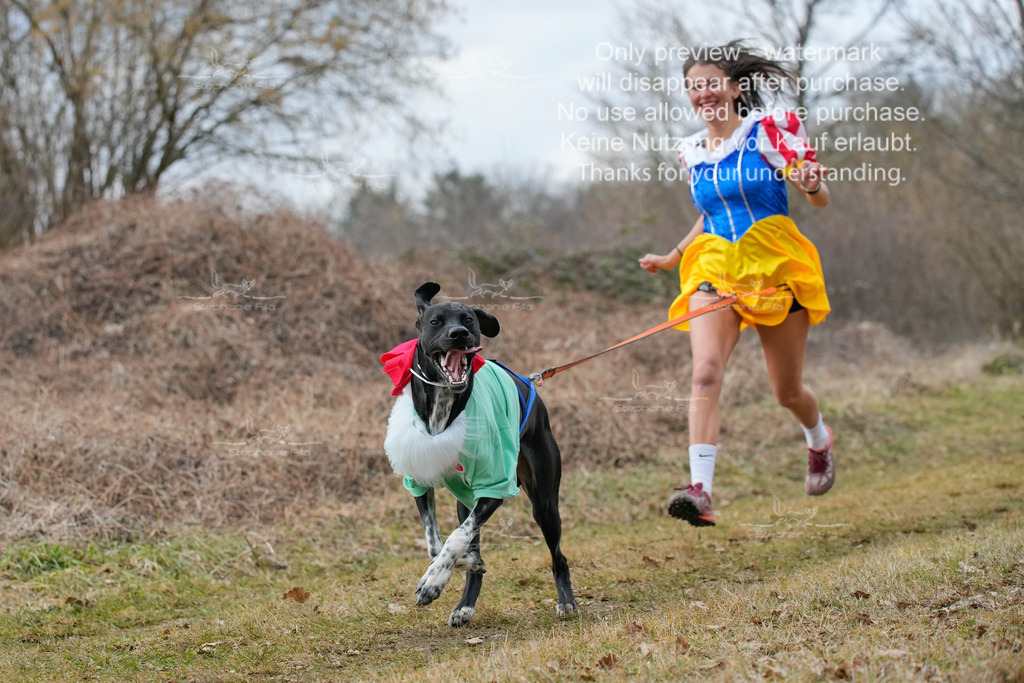 Fasching-5 | stephaniefillaphotographie - Realisiert mit Pictrs.com