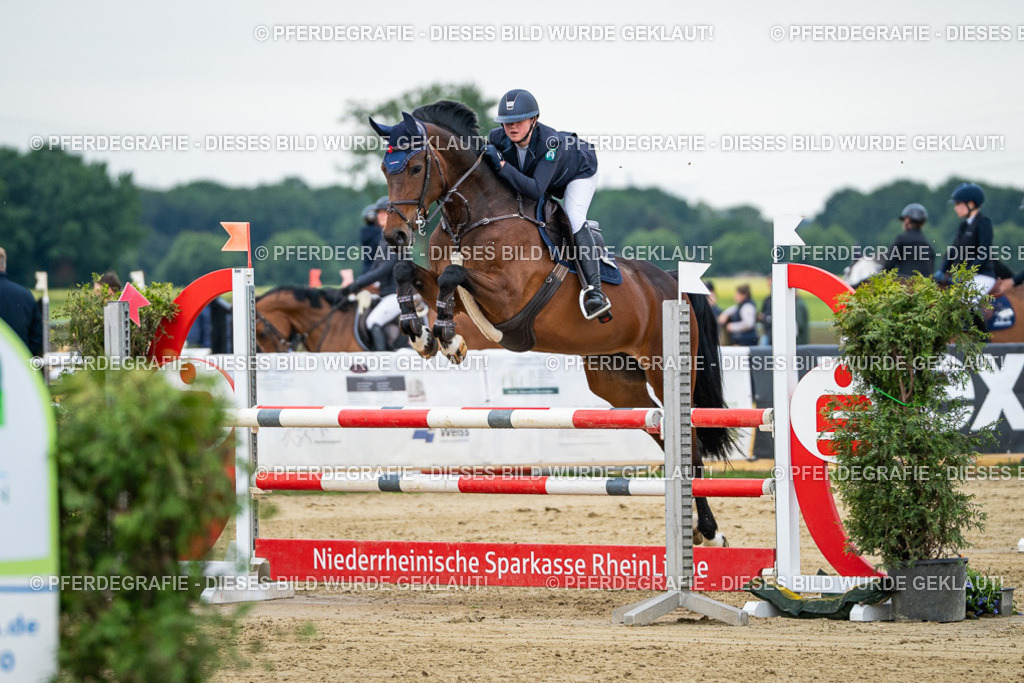 DSC05675 | Pferdegrafie