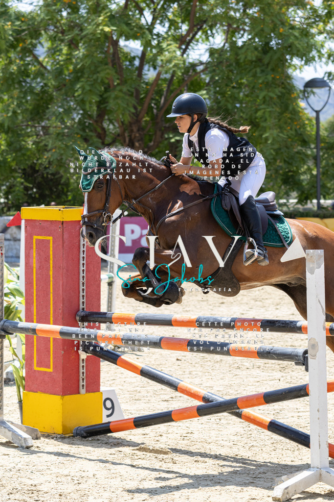 IMG_1082 | s-jay-photography - Realisiert mit Pictrs.com