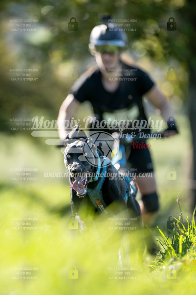 MompixPhotography_20TSB_E3_DS1-11 | PayLife