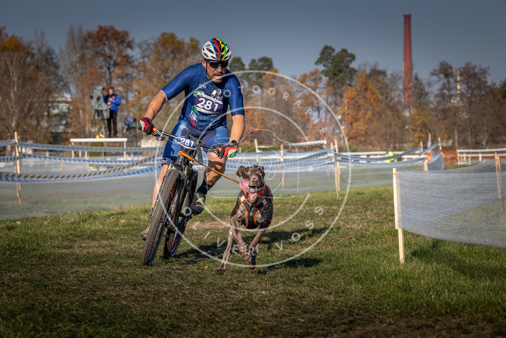 CaniXpix_0L8A6387 | Hundefotografie, Tierfotograf, Pfotenfotografie, Fotoshooting Hund, Hunde Portrait, Hundesport, Hundeportraits, Heideshooting, Hunde, Sportfotograf, Hundefotograf, Turnierhundsport, THS,  - Realisiert mit Pictrs.com
