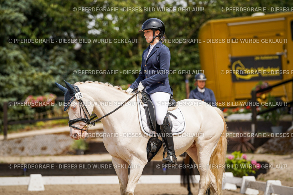 DSC04188 | Pferdegrafie