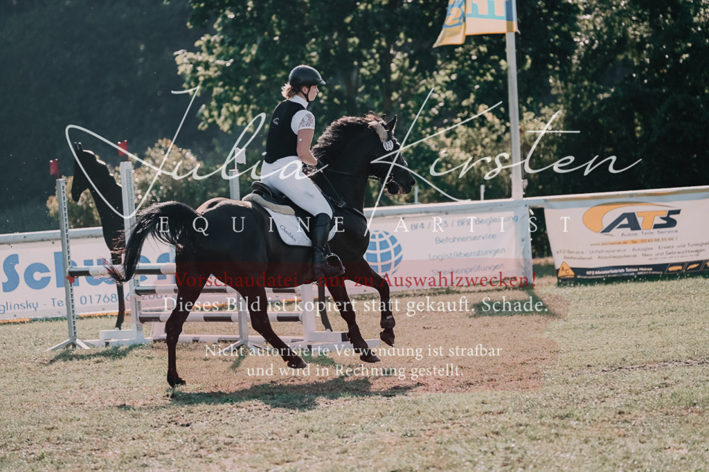 DSC_4507 | Pferde- und Turnierfotografie in Westsachsen. Pferdeportraits, Auftragszeichnungen und intuitive Kunst.