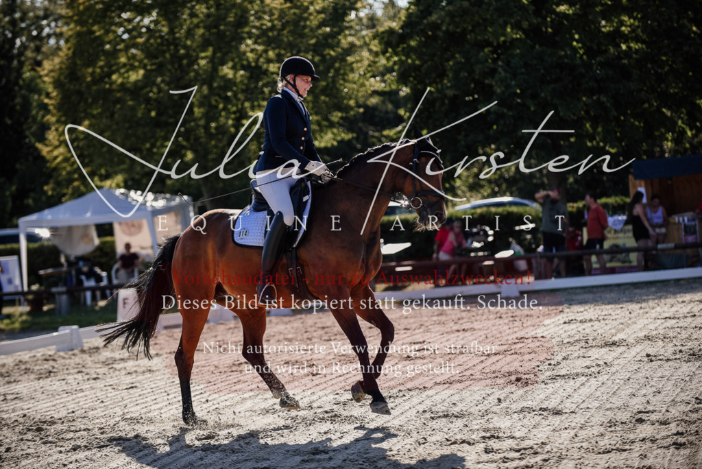 DSC_0406 | Pferde- und Turnierfotografie in Westsachsen. Pferdeportraits, Auftragszeichnungen und intuitive Kunst.
