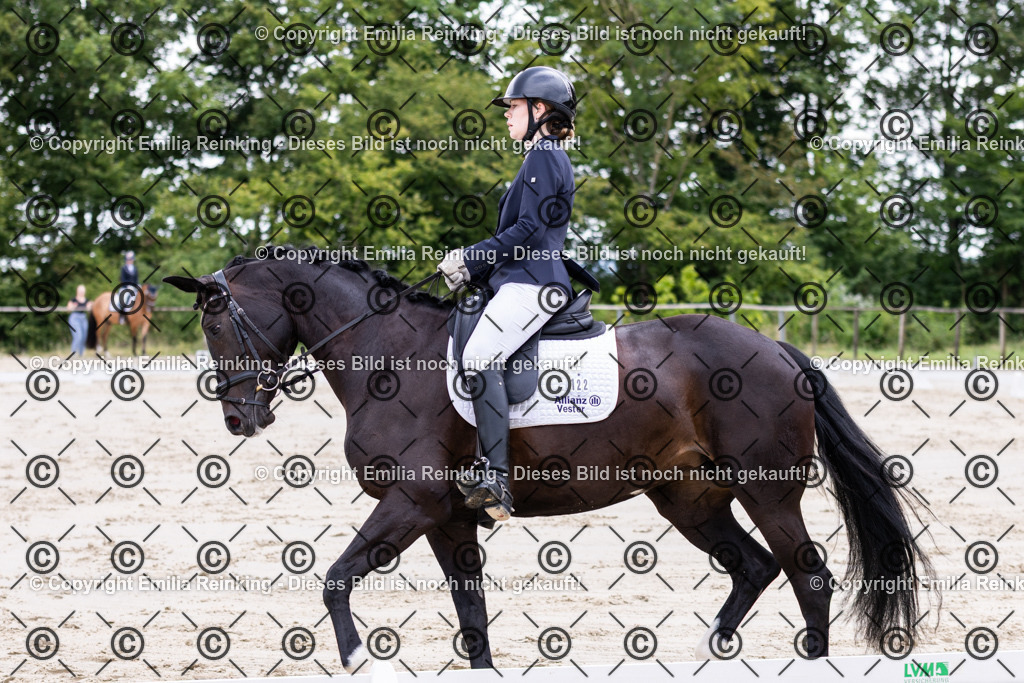 CL5A2019 | Emilia Reinking Fotografie - Realisiert mit Pictrs.com