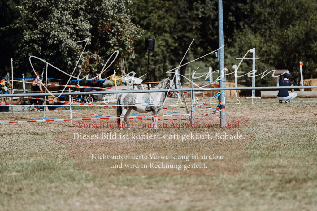 DSC_0041 | Pferde- und Turnierfotografie in Westsachsen. Pferdeportraits, Auftragszeichnungen und intuitive Kunst.