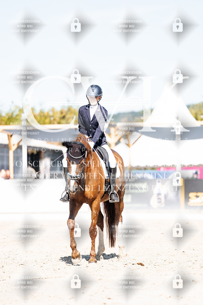 CK908506 | Turnierfotografie Pferdefotografie Trier Rheinland-Pfalz Pferdesport Reitsport Tierfotografie Sportfotografie Pferdevideo Pferdevideografie Equestrianvideography equestrianphotography  - Realisiert mit Pictrs.com