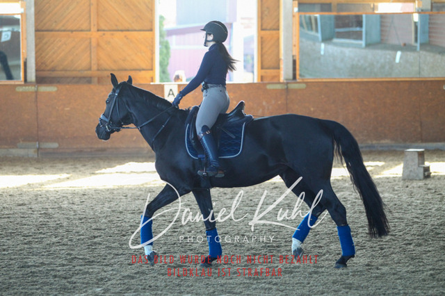 DKP42323 | Turniersportfotografie; Pferdefotografie; Dressurfotografie