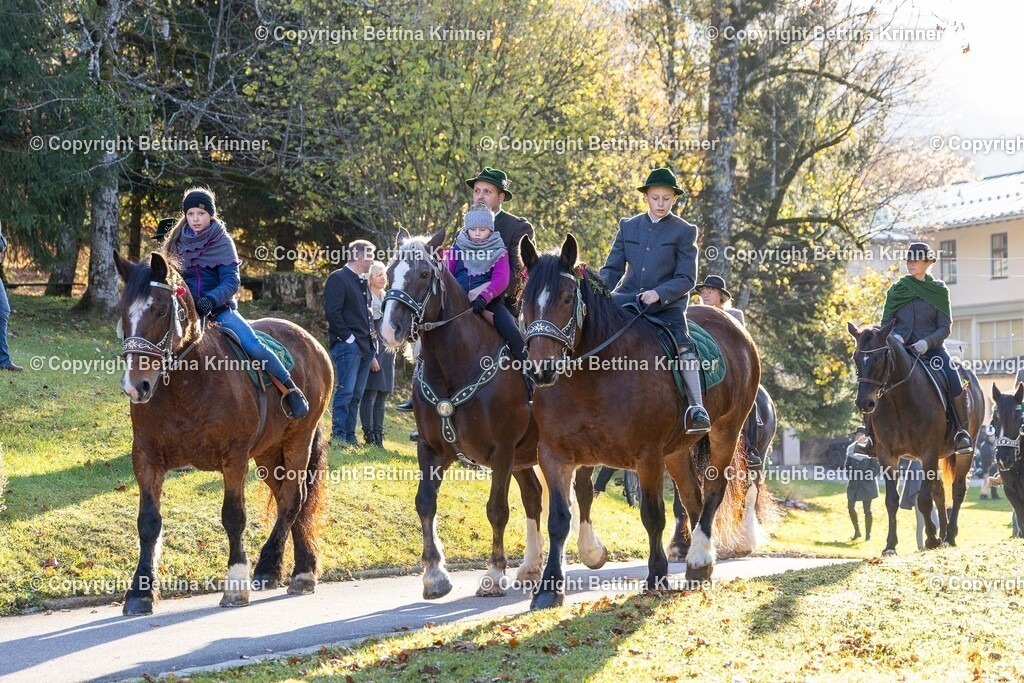 LL24-202 | foto-bettina-krinner - Realisiert mit Pictrs.com