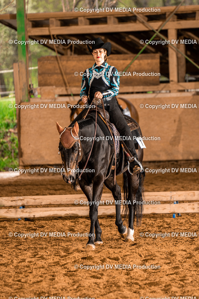 BAL00177 | dv-media-shop - Realisiert mit Pictrs.com